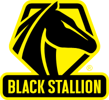 BLACK STALLION