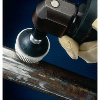 Picture for category Bristle