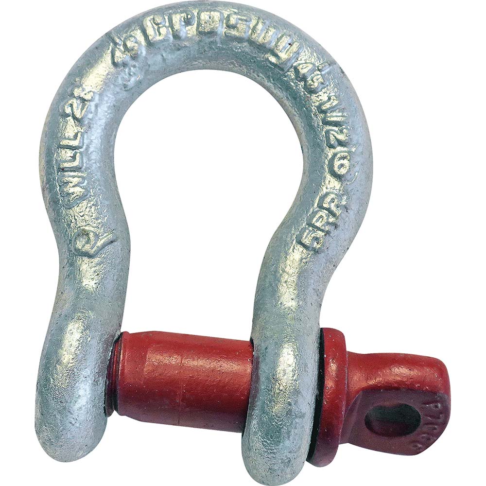 Picture for category Shackles