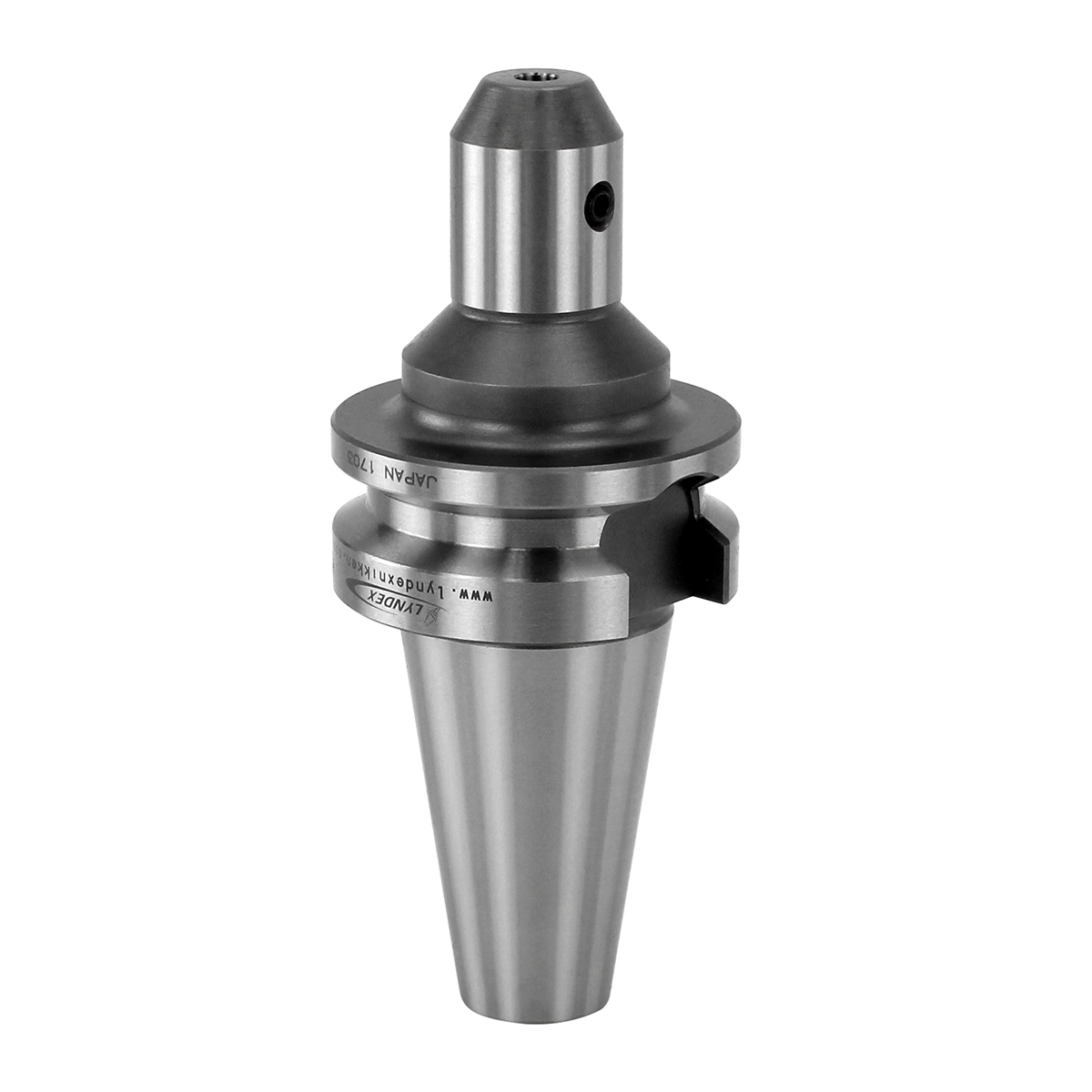 Picture of Lyndex 97466262 BT30 End Mill 0.3125 7.94mm - 5/16