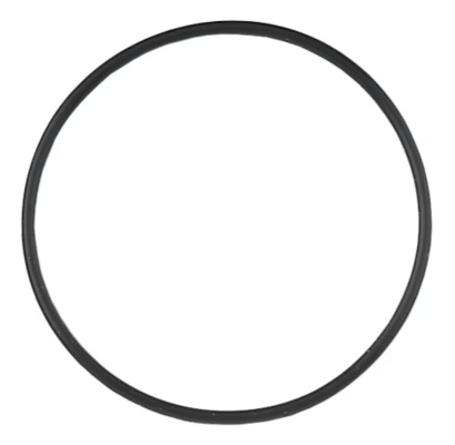 Picture of Mahr 4307804 "O" Ring, Pointer Housing, Large