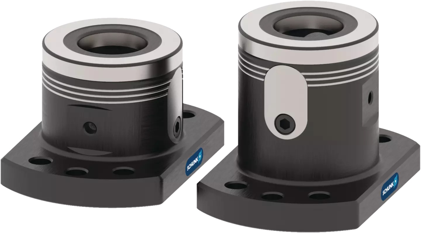 Picture of Schunk 1398161 Wdm-5X-Bm 80-100