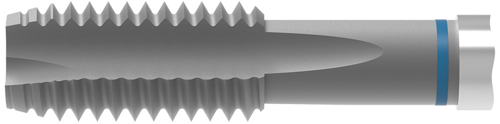 Picture of WNT/Ceratizit 22021050 B.M5.ISO2-6H.DIN376-B Threading Taping