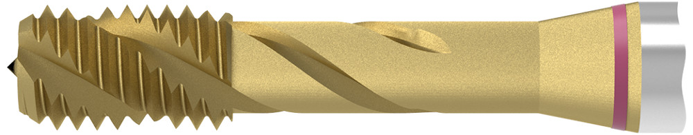 Picture of WNT/Ceratizit 22149100 SALOREX UNI NCW-PM.M10.ISO2-6H.-C TIn Threading Taping