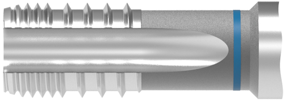 Picture of WNT/Ceratizit 22377025 CAZVG.NPT1/4.~DIN371-C Threading Taping