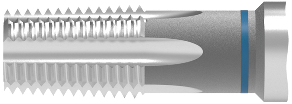 Picture of WNT/Ceratizit 22382006 C.NPTF1/16.~DIN371-C Threading Taping