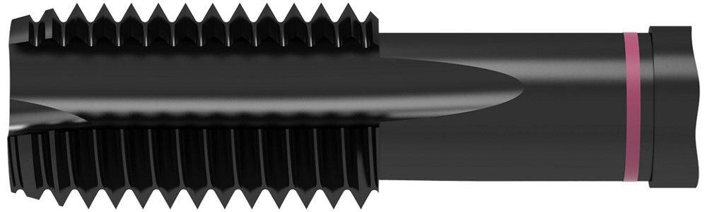 Picture of WNT/Ceratizit 22502200 STABIL UNI.M20.ISO2-6H.DIN376-B N+V Threading Taping M20