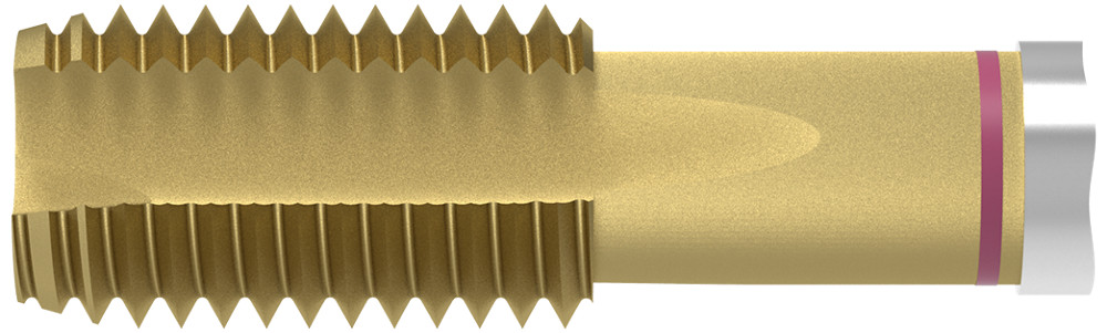 Picture of WNT/Ceratizit 22504160 STABIL UNI.M16.ISO2-6H.DIN376-B TIn Threading Taping M16