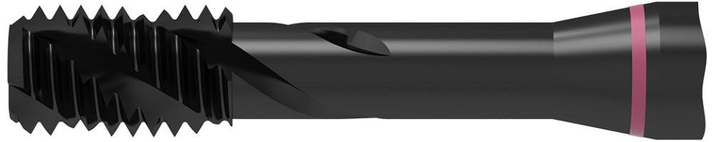 Picture of WNT/Ceratizit 22534100 SALOREX UNI.M10.ISO2-6H.DIN371-E VAP Threading Taping
