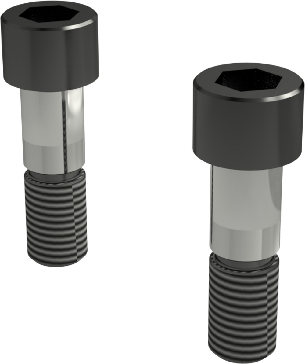 Picture for category DOWEL SCREW (PAIR)