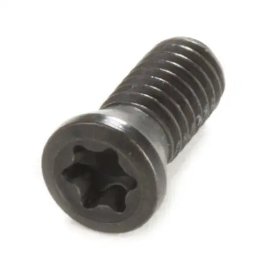 Picture of ZCC SM3*10B Set Screw 3110000159 SM3*10B