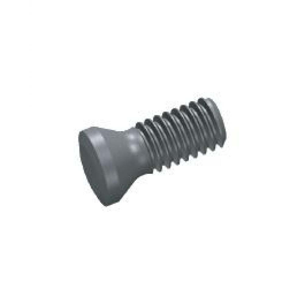 Picture of ZCC Screw 3110000218 I60M2.2X5.5