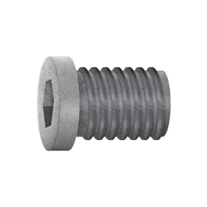 Picture of ZCC Shim Screw 3110002175 SM5X8.65XA